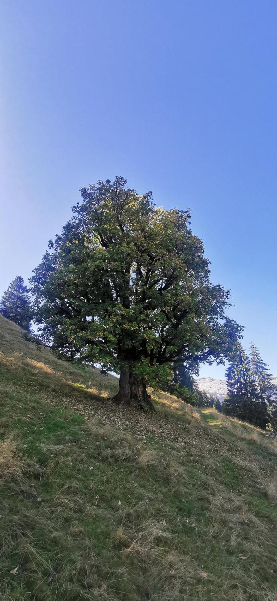 Gasthof Kreuz Marbach المظهر الخارجي الصورة