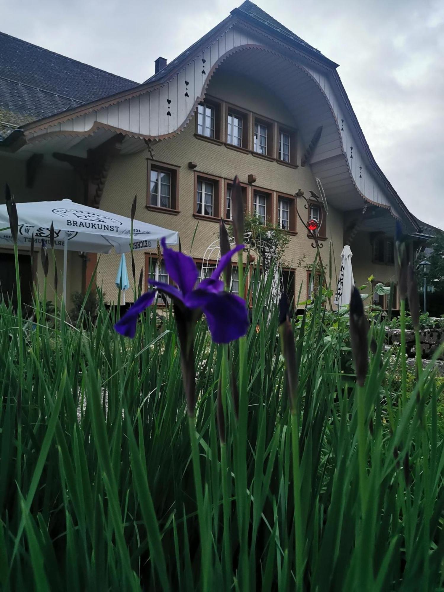 Gasthof Kreuz Marbach المظهر الخارجي الصورة