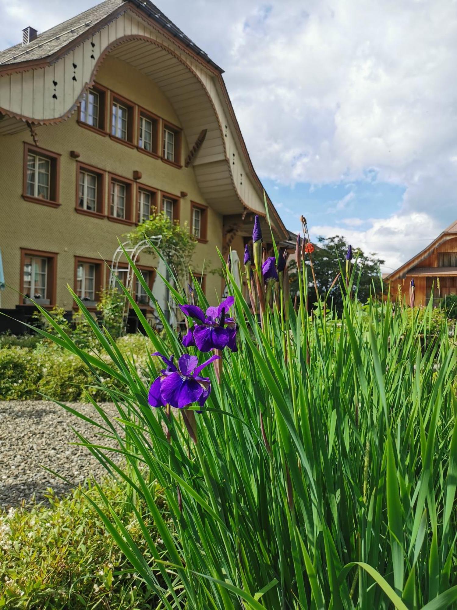 Gasthof Kreuz Marbach المظهر الخارجي الصورة