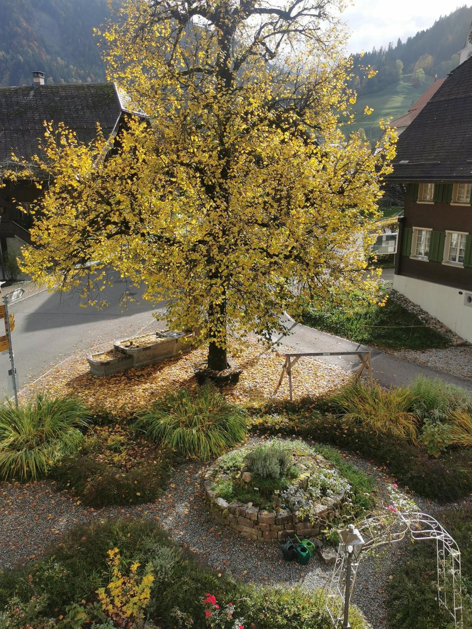 Gasthof Kreuz Marbach المظهر الخارجي الصورة