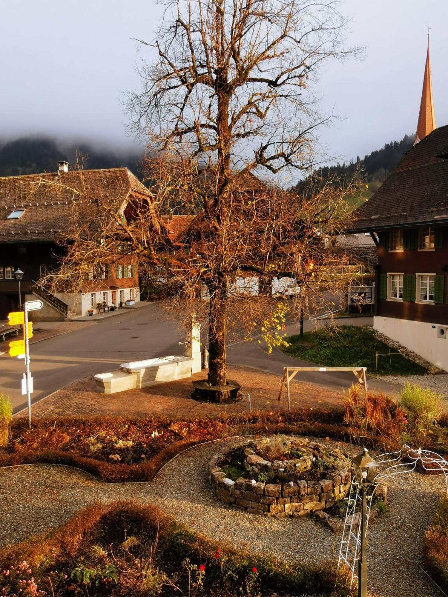 Gasthof Kreuz Marbach المظهر الخارجي الصورة